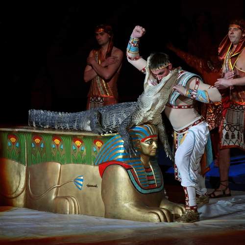Photo #11872654
