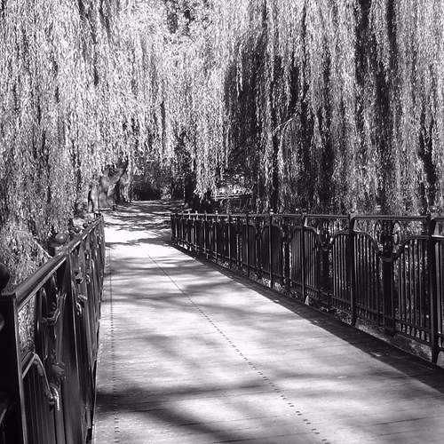 Photo #11872821