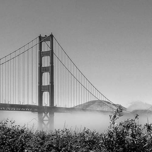 Photo #11873038
