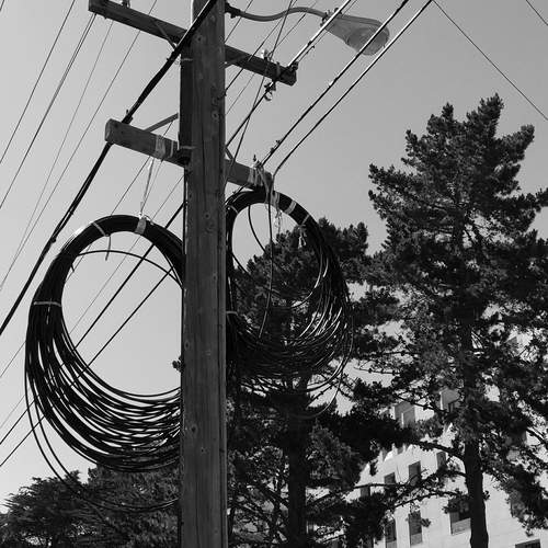 Photo #11873040