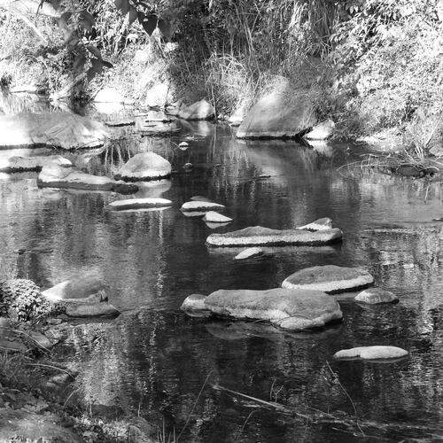 Step by step, over the river