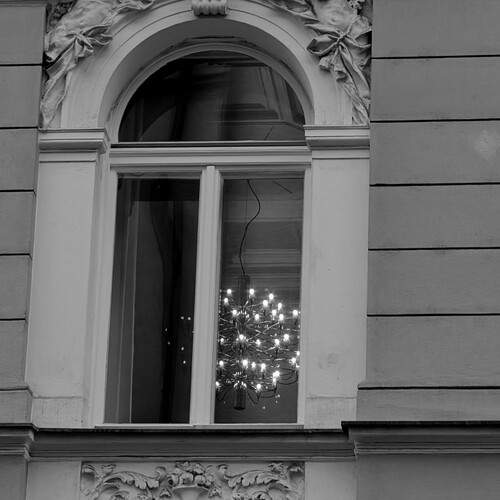 Photo #11873209