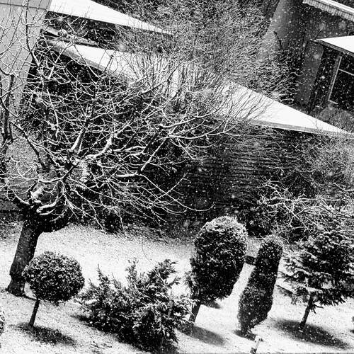 Photo #11873213
