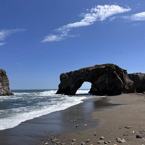 Photo #11873258