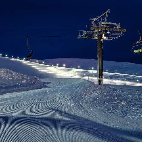 Photo #11873293