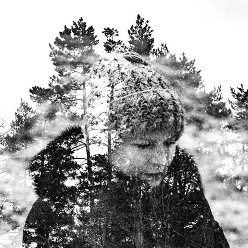 Photo #11873436