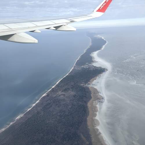 Photo #11873575