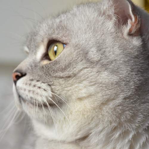 Photo #11873622