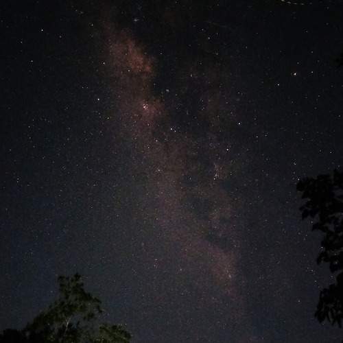 Photo #11873658