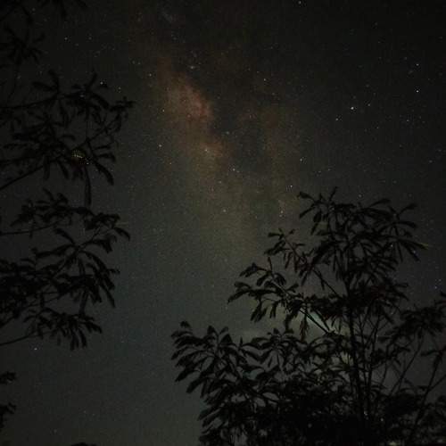 Photo #11873676