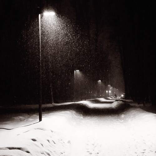 Photo #11874043