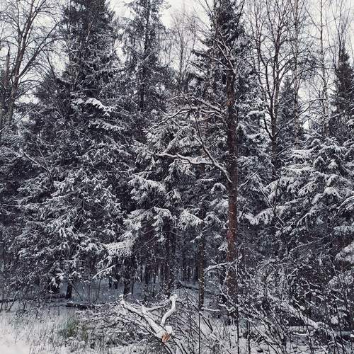 Photo #11874050