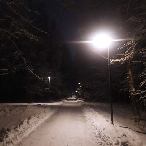 Photo #11874090