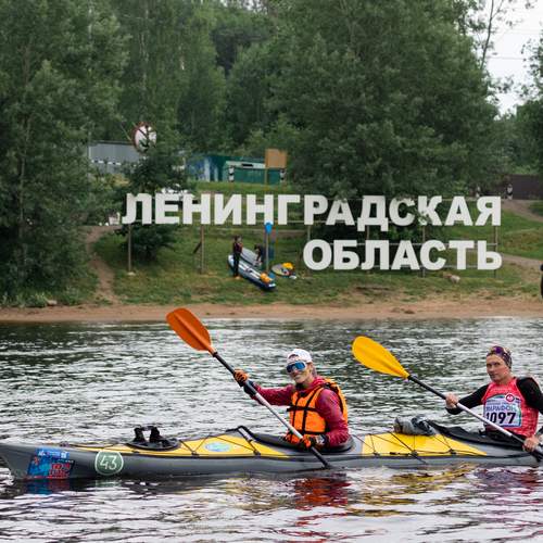 Photo #11874301