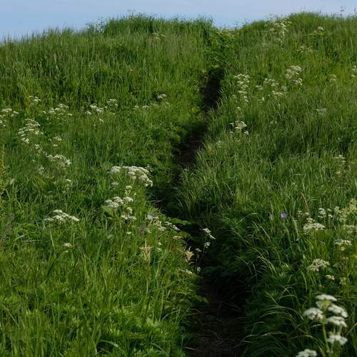Photo #11874343