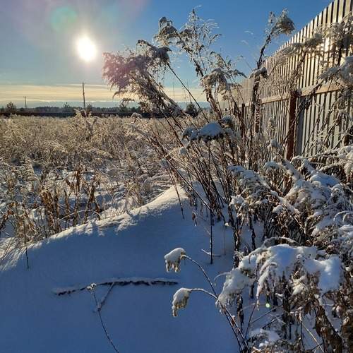Photo #11874458