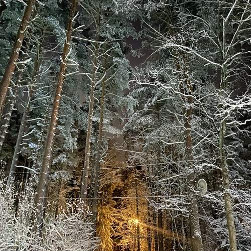 Photo #11874463