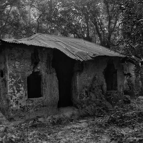 The Cabin in the Woods