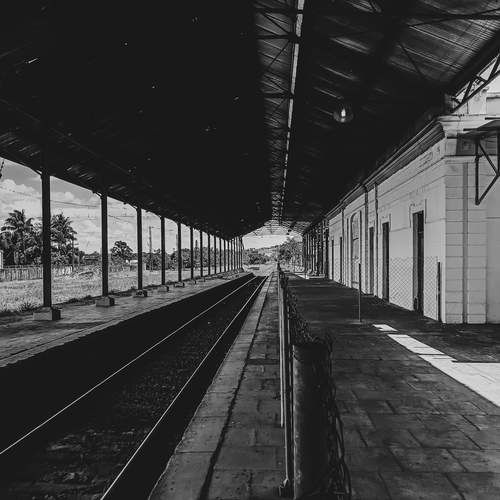 Photo #11874941