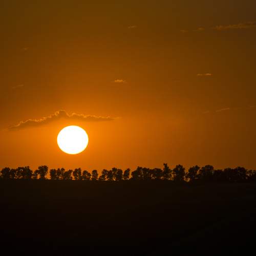 Photo #11875056