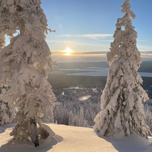 Photo #11875116
