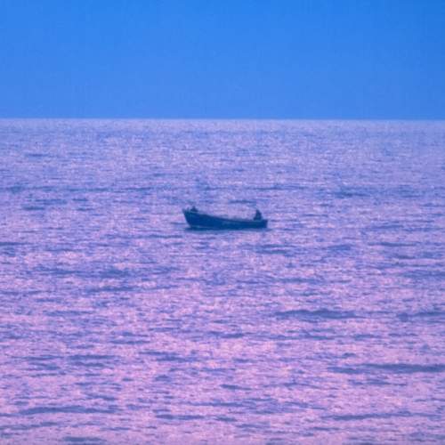 Photo #11875157