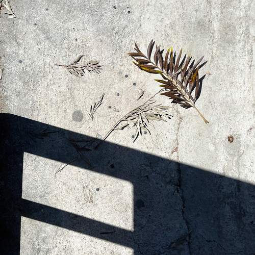 Photo #11875266