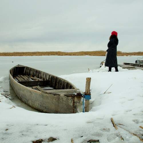 Photo #11875274