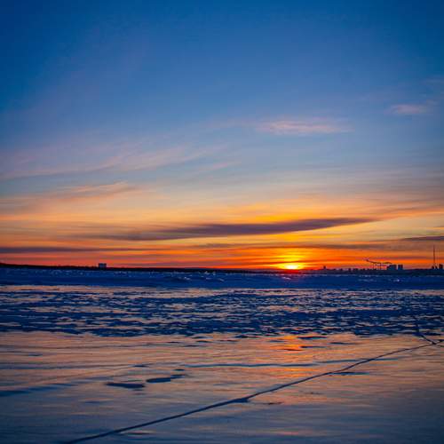Photo #11875329