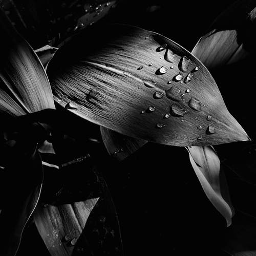 Photo #11875354