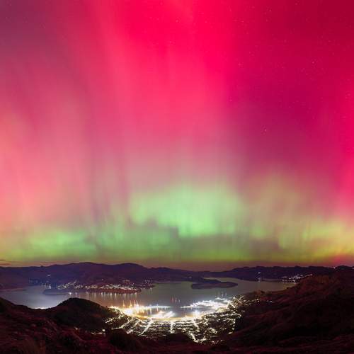 Photo #11875439