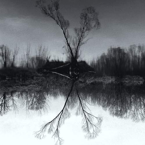 Photo #11875449