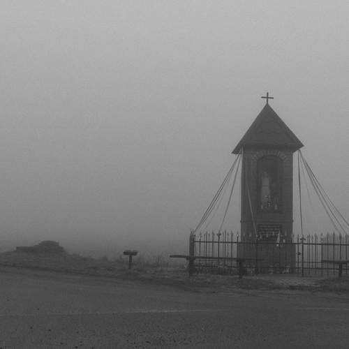 Photo #11875557