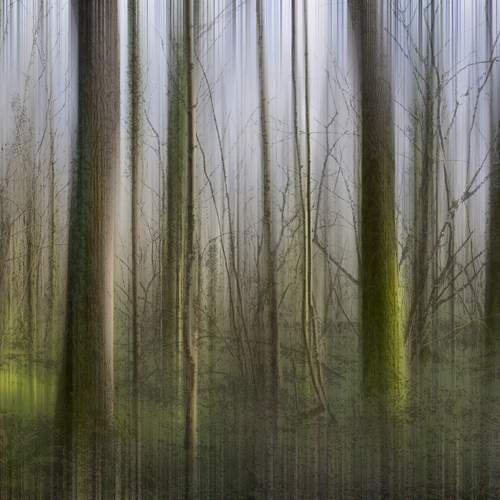 Photo #11875572