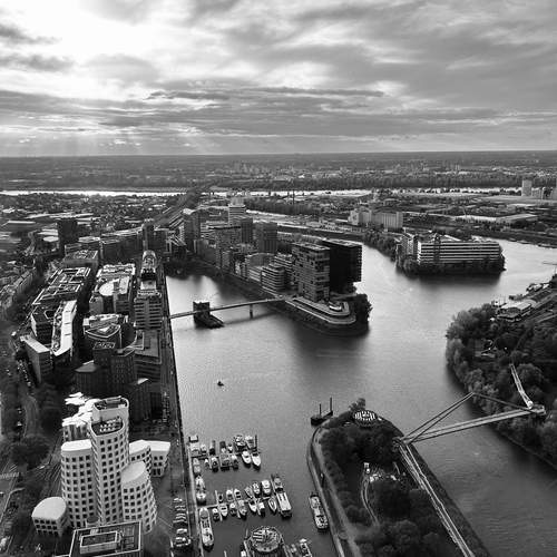 Photo #11875580