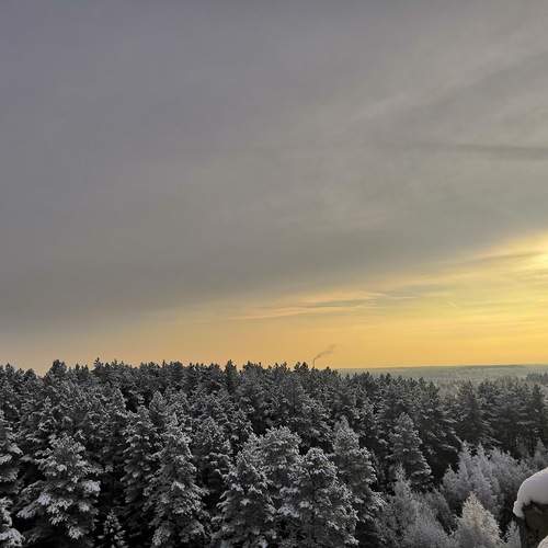 Photo #11875915