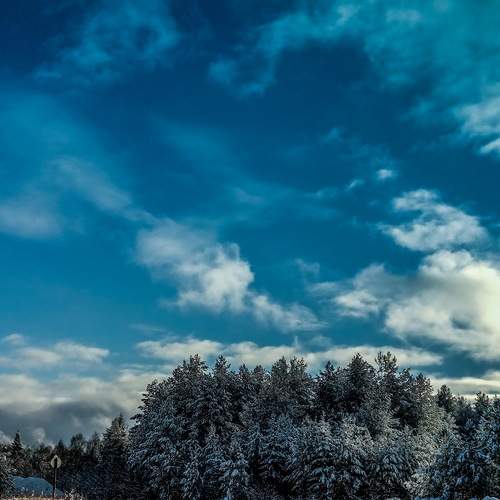 Photo #11875917