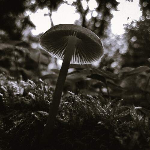 Photo #11875969