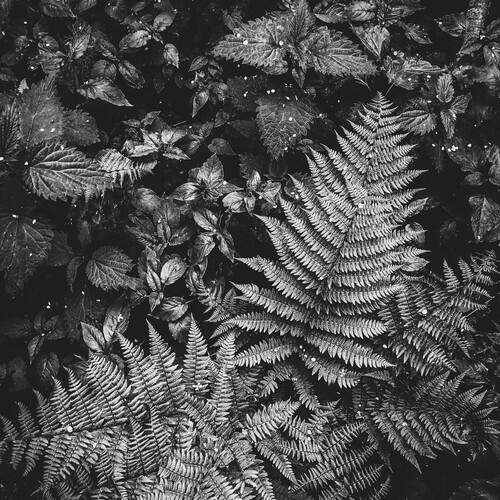 Photo #11875970