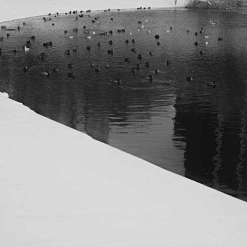 Photo #11876158