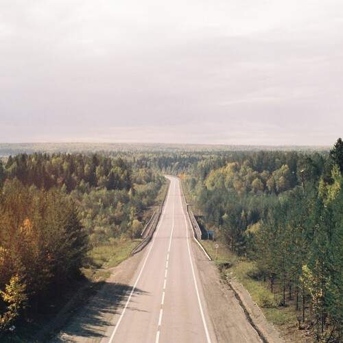 Photo #11876317