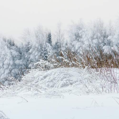 Photo #11876374