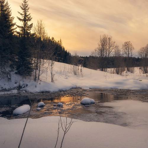 Photo #11876395