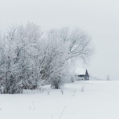 Photo #11876400