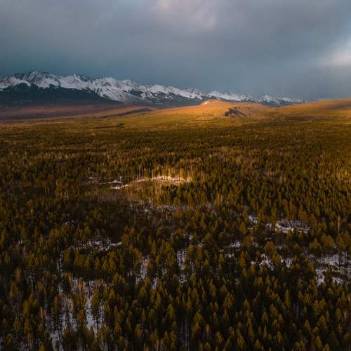 Photo #11876546
