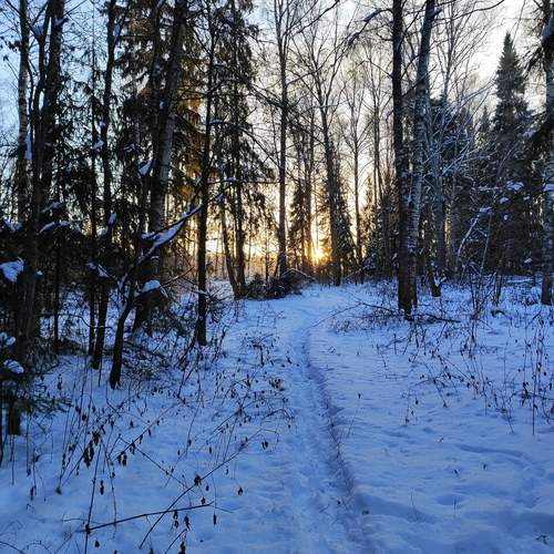 Photo #11876750
