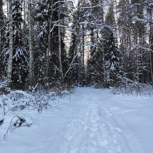 Photo #11876758