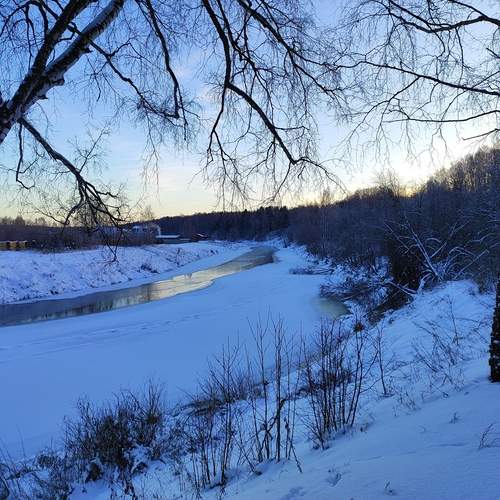 Photo #11876759