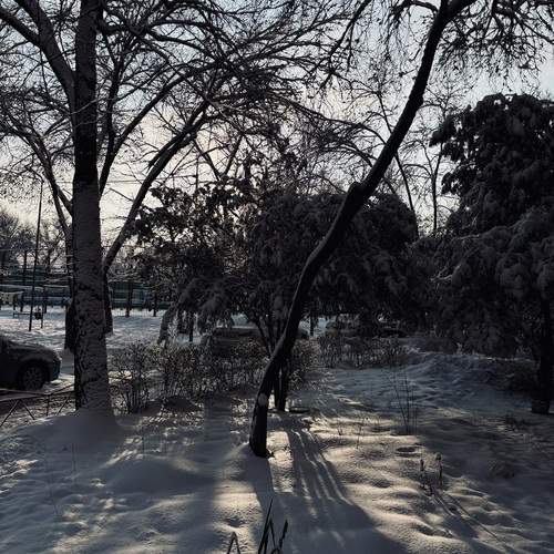 Photo #11876799