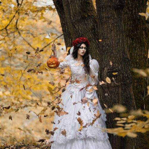 Фотография #11877144